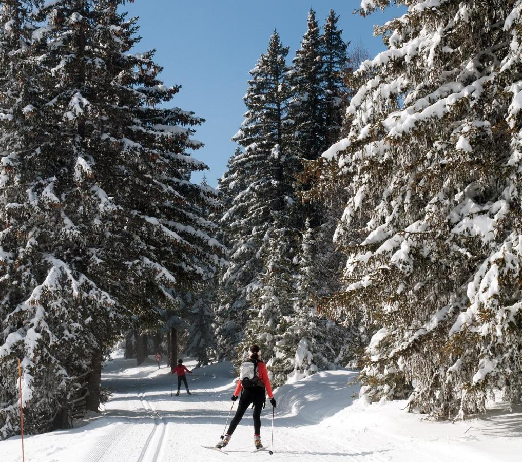 שמרוסה Charmant Studio Cabine Cocoon A 100 M Des Pistes מראה חיצוני תמונה